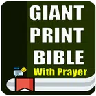 Giant Print Bible for PC
